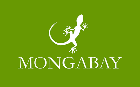 Maongbay